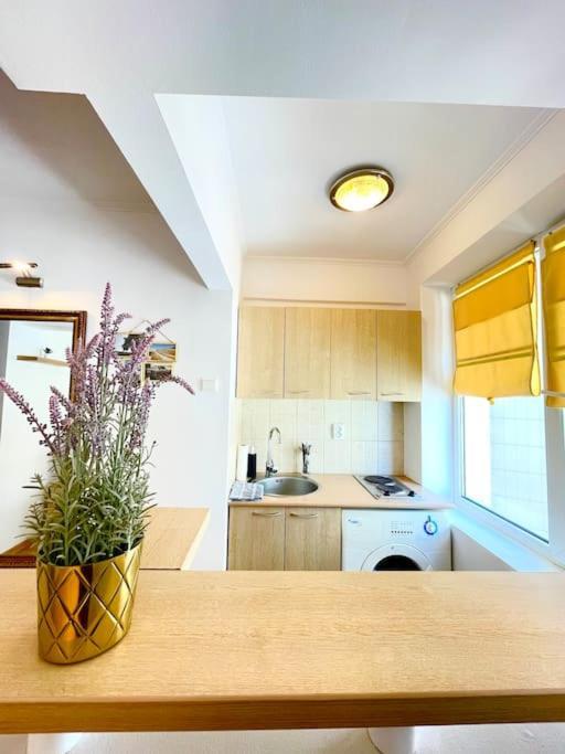 Boutique Apartment In The Bucharest City Center Exterior foto